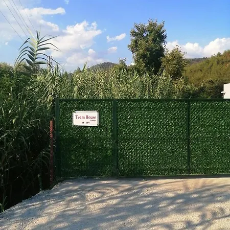 Team House فيلة